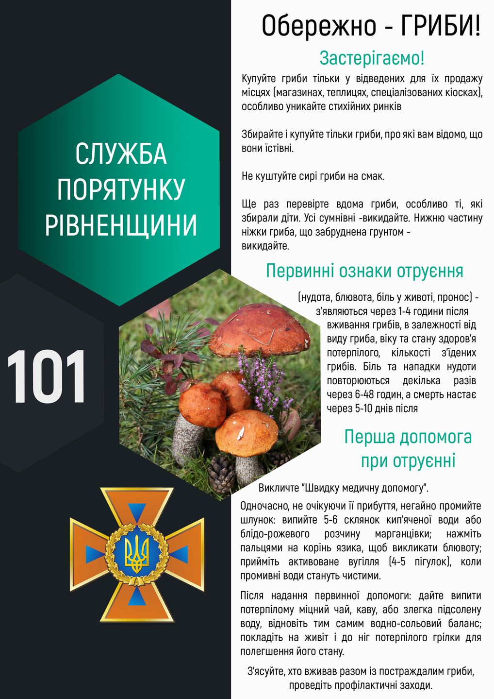Листівка Гриби