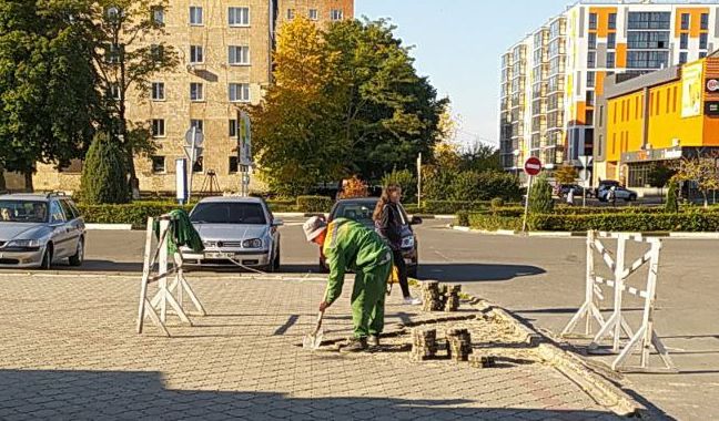photo1665480060
