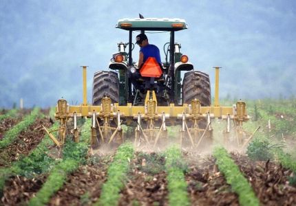 Розвиток сімейних фермерських господарств на Рівненщині